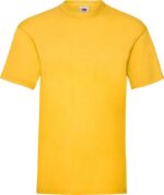 solnechno-zheltyj-sunflower-34