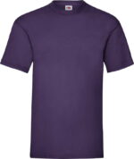 fyoletovyj-purple-pe