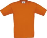 oranzhevyj-orange-235