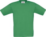 zelenyj-kelly-green-520