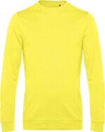 solnechno-zheltyj-solar-yellow-201