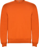 oranzhevyj-naranja-31