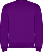 fyoletovyj-purpura-71