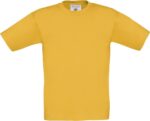 zheltyj-gold-210