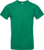 zelenyj-kelly-green-520