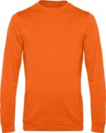oranzhevyj-pure-orange-223