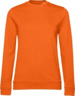 oranzhevyj-pure-orange-223